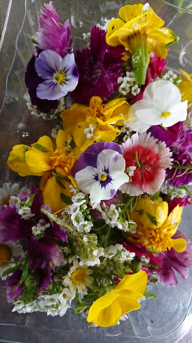 Organic Edible Flowers 20g Valota