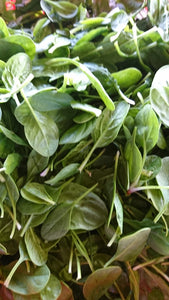 Organic Baby Spinach 200g