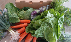 Valota Veg Box