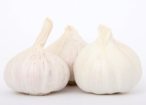 Garlic 2 pack