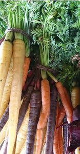 Rainbow Carrots Bunch (non organic)